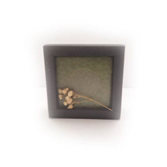 Bar Soap: Aloe (Light Green)